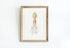 framed vintage squid print wall art